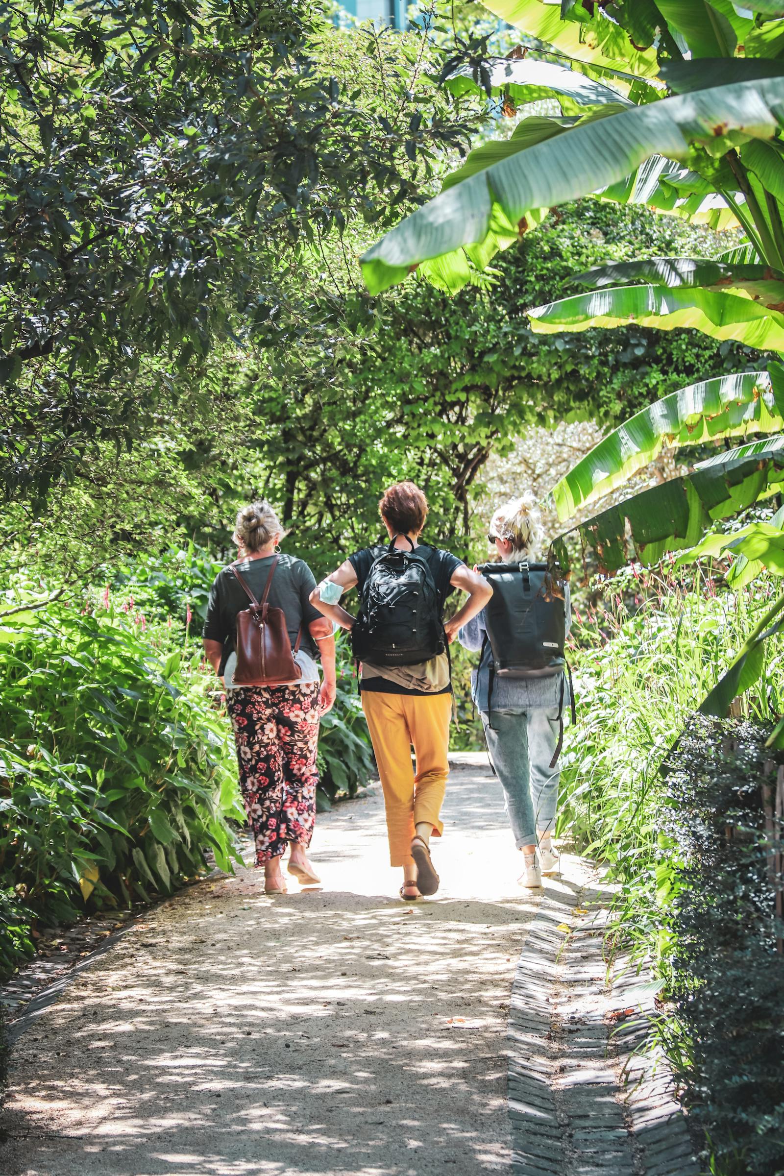 Three adults walking through a lush botanical garden on a sunny day along a scenic path